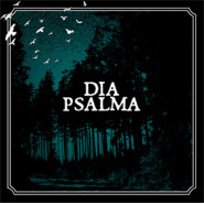 Djupa Skogen