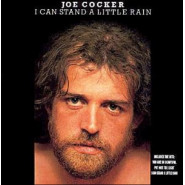 I Can Stand a Little Rain