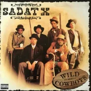 Wild Cowboys