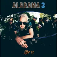 Step 13