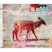 Andrés Gualdrón y los Animales Blancos