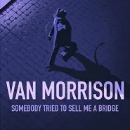 Somebody Tried to Sell Me a Bridge