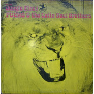 Jungle Fire!