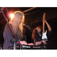 Wild Gals A Go-Go