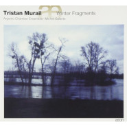 Winter Fragments