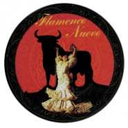 Flamenco Nuevo