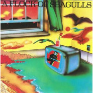 A Flock of Seagulls