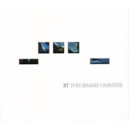 This Binary Universe
