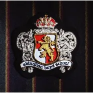 Abingdon Boys School