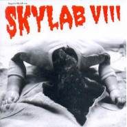 Skylab VIII