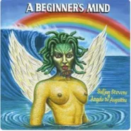 A Beginner's Mind