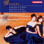 Piano Trio in C minor / Piano Trio in E flat / Piano Trio in A minor