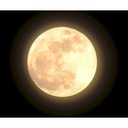 Moonglow