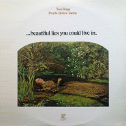 ...Beautiful Lies You Could Live In