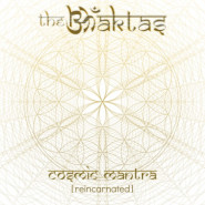 Cosmic Mantra [Reincarnated]