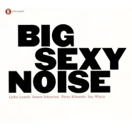 Big Sexy Noise