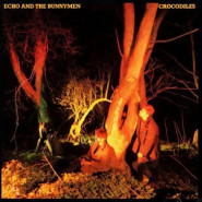 Crocodiles