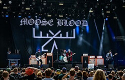 Moose Blood