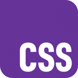 CSS
