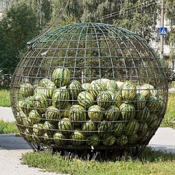 Cage