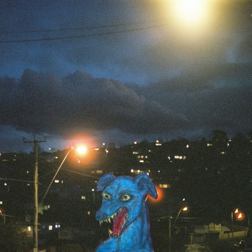 Odd Dog in the Capital