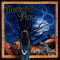 Обложка альбома Mercyful Fate In the Shadows 1993