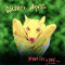 Обложка альбома Guano Apes Proud Like a God 1997