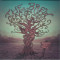 Shake the Tree