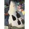 Virginia Noir
