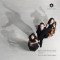Piano Trios, Volume 1