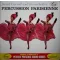 Percussion Parisienne