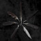 Dust and Disquiet