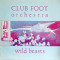 Wild Beasts
