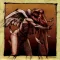 The Poacher Diaries