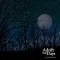 The Lunar Maria