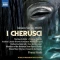 I Cherusci