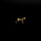 The Dark