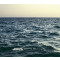 Following Sea