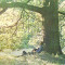 Yoko Ono/Plastic Ono Band