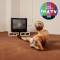 I'm a TV