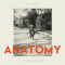 Anatomy