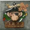 Pirat Versicherung