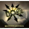 Northern Avenger