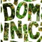 Dominic