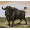 San Fermin