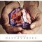 Discoveries