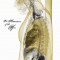 ...And the Sky Fell