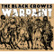 Warpaint