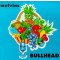 Bullhead