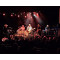 The Black Sorrows